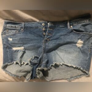 Torrid Blue Jean cutoff Shorts